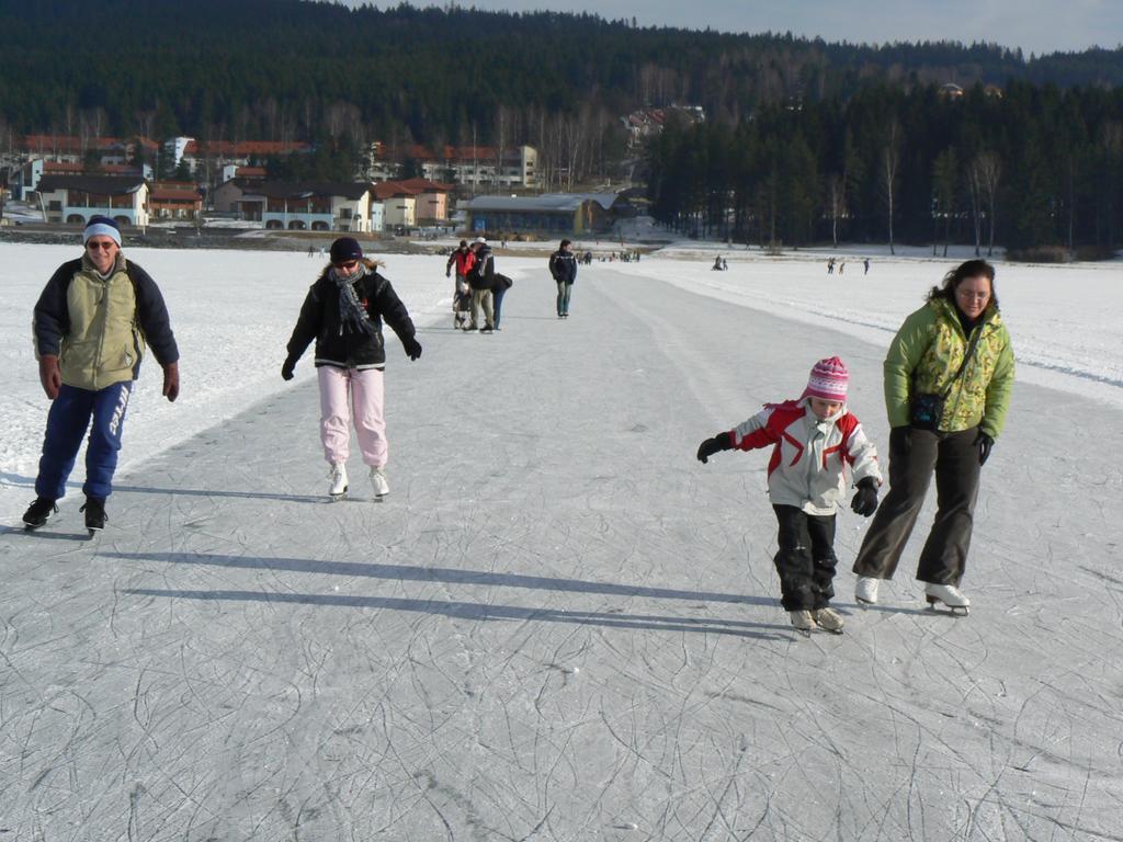 Mysi V Bote Lipno Apartment